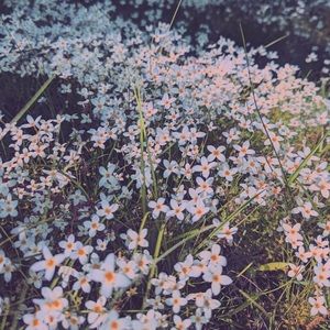 ** Custom Order for Angelsofdeath **